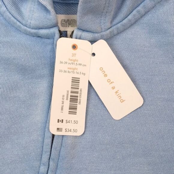 Gymboree Girls Sweatshirt with Ruffles on Sleeves, Hooded, Zip up, Light Blue - Picture 3 of 3